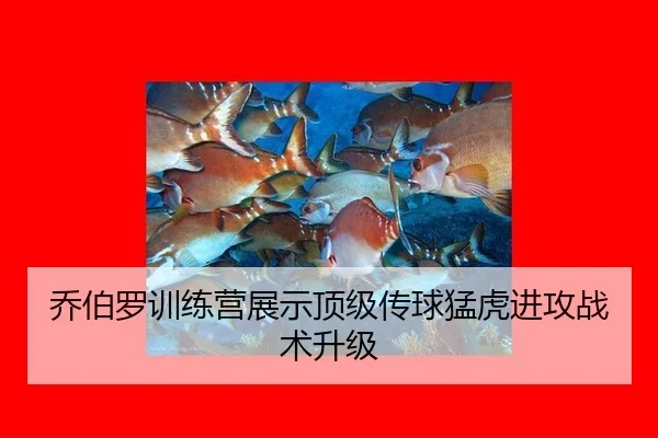 qiao-bo-luo-xun-lian-ying-zhan-shi-ding-ji-chuan-qiu-meng-hu-jin-gong-zhan-shu-sheng-ji-2-580.jpg