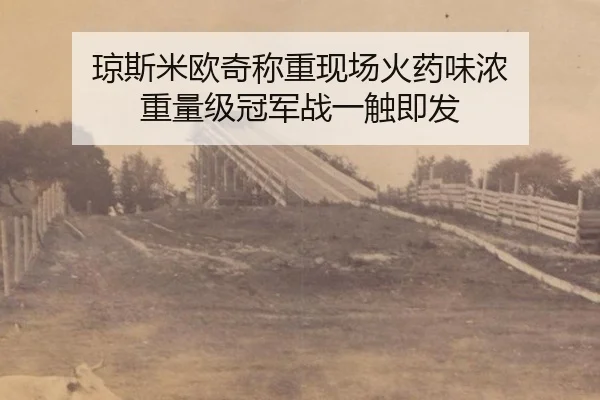 qiong-si-mi-ou-qi-cheng-zhong-xian-chang-huo-yao-wei-nong-zhong-liang-ji-guan-jun-zhan-yi-chu-ji-fa-3-654.jpg