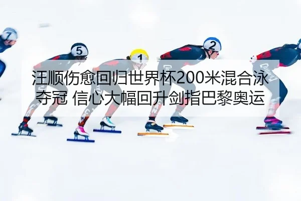 wang-shun-shang-yu-hui-gui-shi-jie-bei-mi-hun-he-yong-duo-guan-xin-xin-da-fu-hui-sheng-jian-zhi-ba-li-ao-yun-3-330.jpg